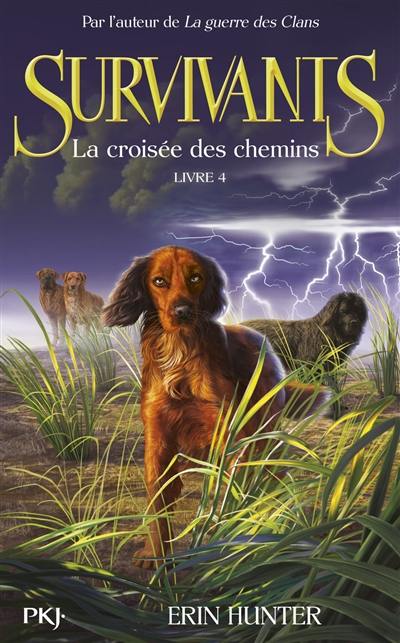 Survivants. Vol. 4. La croisée des chemins