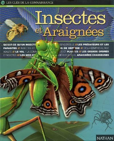 Insectes et araignées