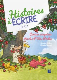 Cerises surprises chez les p'tites poules : CE1, CE2