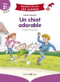 Un chiot adorable : début 3e Harmos