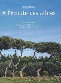 A l'écoute des arbres