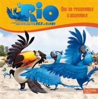 Rio : qui se ressemble s'assemble