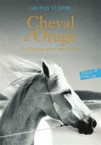 Cheval d'orage. Vol. 2. Chantage pour une victoire