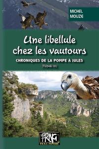 Chroniques de la pompe à Jules. Vol. 3. Une libellule chez les vautours