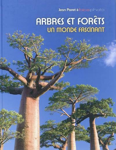 Arbres et forêts, un monde fascinant