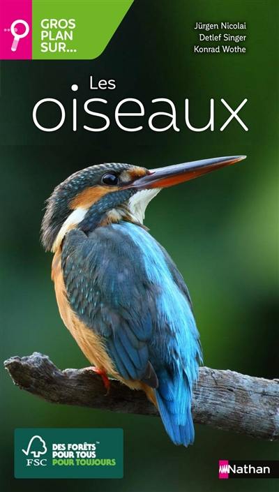 Gros plan sur... les oiseaux