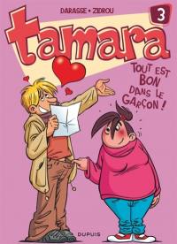 Tamara. Vol. 3. Tout est bon dans le garçon !