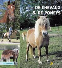 Les races de chevaux et de poneys