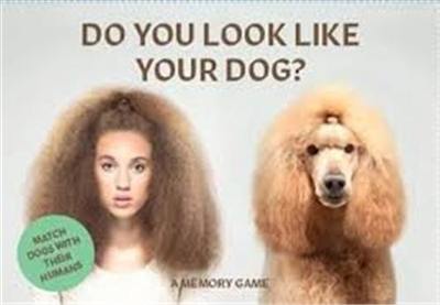 Do You Look Like Your Dog ? : A Memory Game