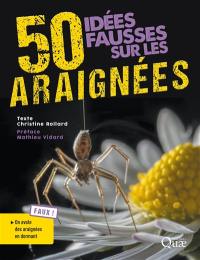 50 idées fausses sur les araignées