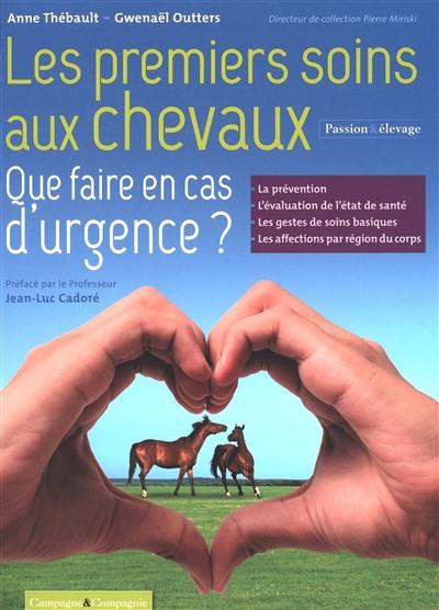 Les premiers soins aux chevaux : que faire en cas d'urgence ?