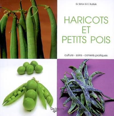 Les haricots verts et petits pois : culture, soins, conseils pratiques