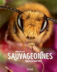 Sauvageonnes : abeilles natives