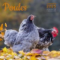 Poules : calendrier 2025 : de septembre 2024 à décembre 2025