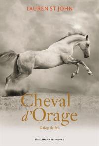 Cheval d'orage. Vol. 3. Galop de feu