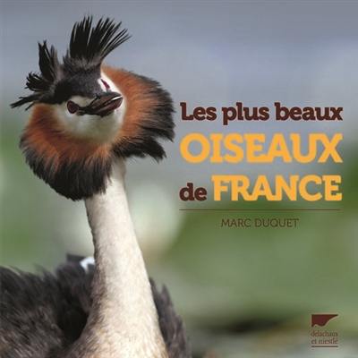 Les plus beaux oiseaux de France