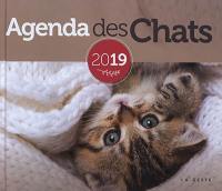 Agenda des chats 2019