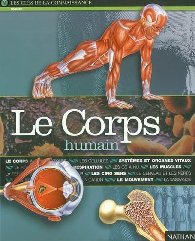 Le corps humain