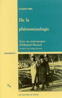 De la phénoménologie