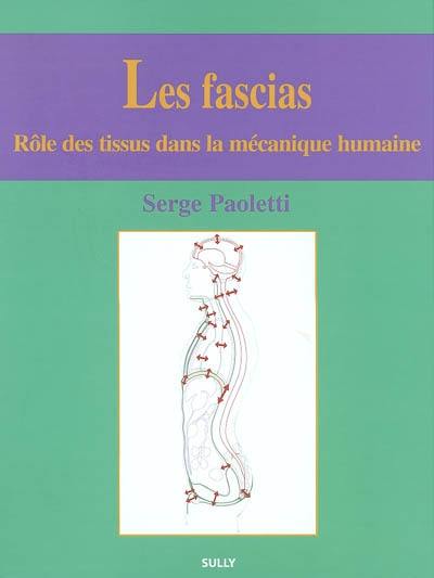 Les fascias : rôle des tissus dans la mécanique humaine