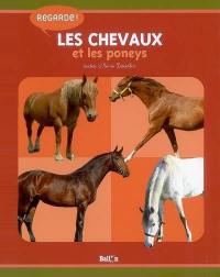 Les chevaux et les poneys