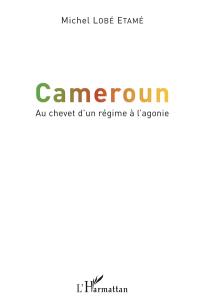 Cameroun : au chevet d'un régime à l'agonie