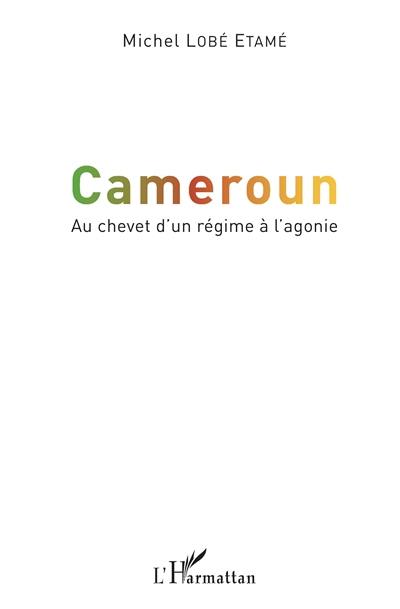 Cameroun : au chevet d'un régime à l'agonie