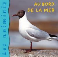 Au bord de la mer