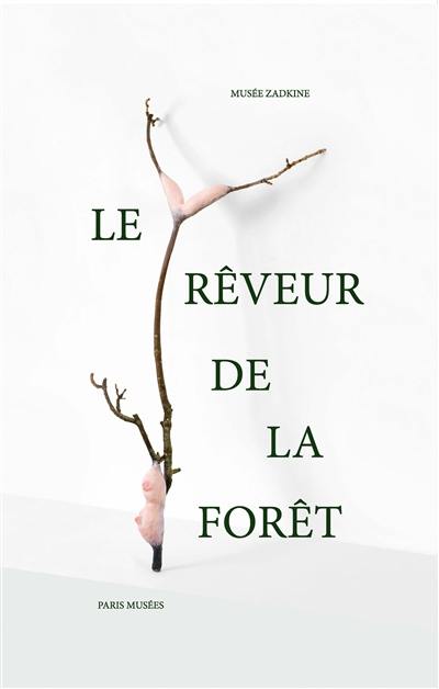 Le rêveur de la forêt