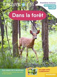 Dans la forêt : premières lectures, début et milieu de CP