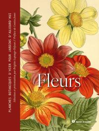 Fleurs : planches botaniques d'hier pour jardins d'aujourd'hui