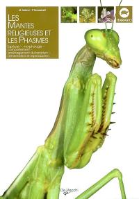 Les mantes religieuses et les phasmes : espèces, morphologie, comportement, aménagement du terrarium, alimentation et reproduction