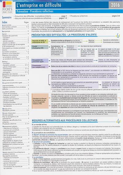 L'entreprise en difficulté : prévention, procédures collectives