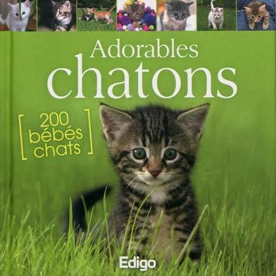 Adorables chatons