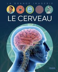 Le cerveau