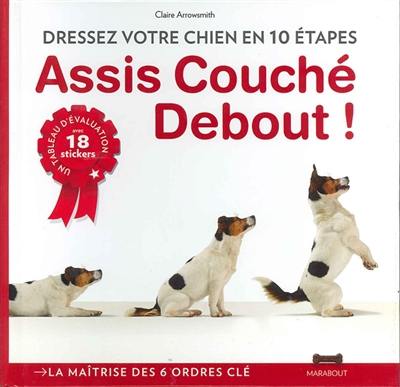 Assis, debout, couché : l'essentiel du dressage canin en 10 étapes