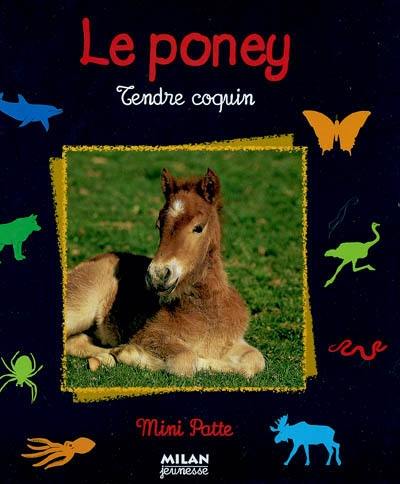 Le poney : tendre coquin