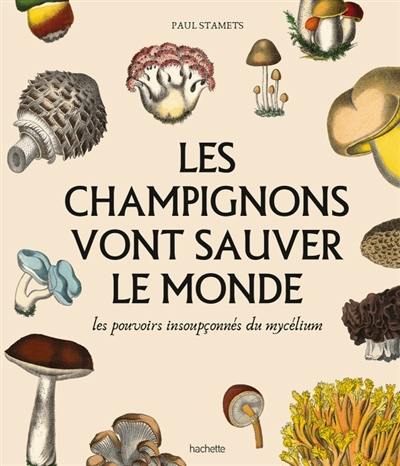 Les champignons vont sauver le monde : les pouvoirs insoupçonnés du mycélium