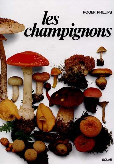 Les Champignons