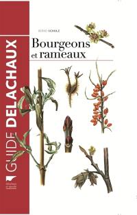 Bourgeons et rameaux