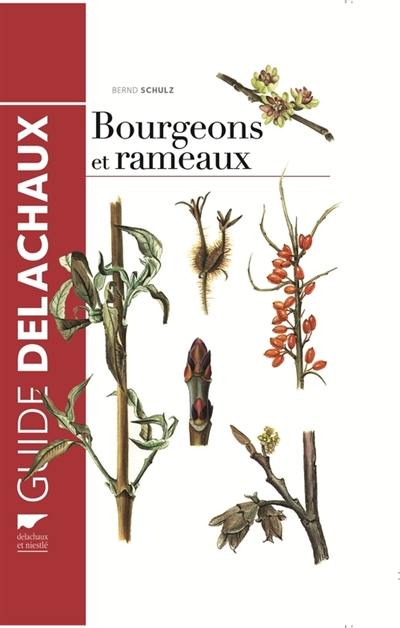 Bourgeons et rameaux