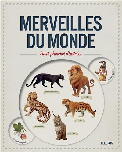 Merveilles du monde : en 45 planches illustrées