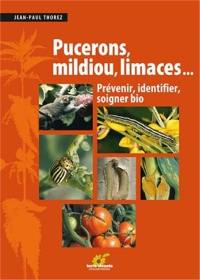 Pucerons, mildiou, limaces... : prévenir, identifier, soigner bio