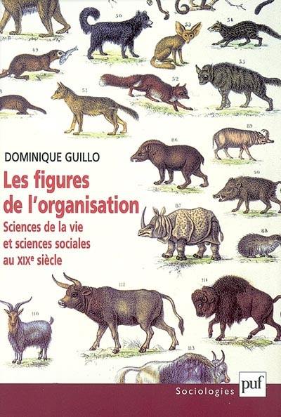 Les figures de l'organisation : sciences de la vie et sciences sociales au XIXe siècle