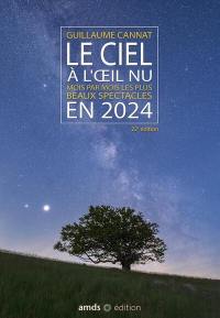 Le ciel à l'oeil nu en 2024 : mois par mois les plus beaux spectacles