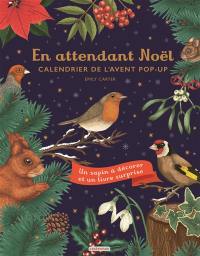 En attendant Noël : calendrier de l'Avent pop-up