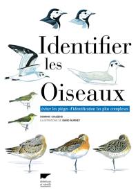 Identifier les oiseaux : éviter les pièges d'identification les plus complexes