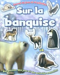 Sur la banquise : des puzzles, des jeux et des activités manuelles