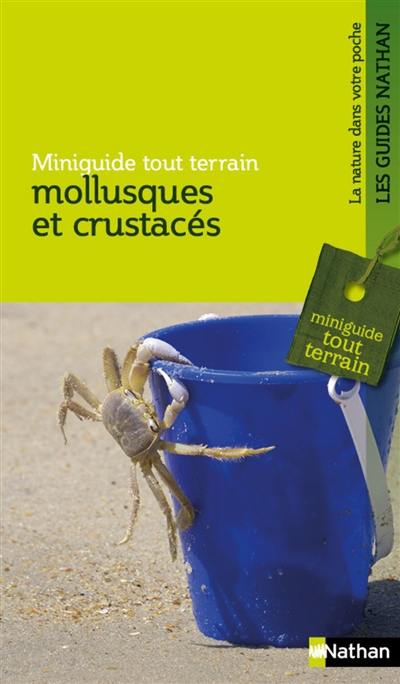 Mollusques et crustacés : la pêche à pied