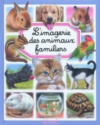 L'imagerie des animaux familiers